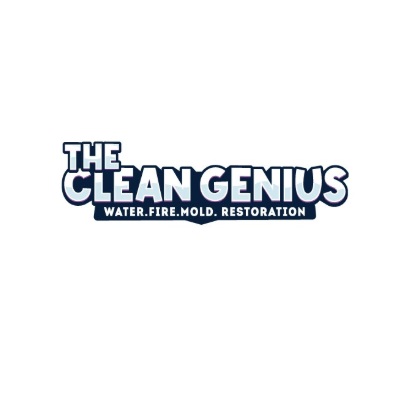 thecleangenius